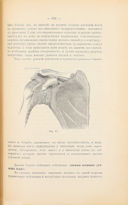 Руководство к хирургической анатомии. [В 2 ч.]. [Ч. 2: Таз, верхние и нижние конечности]. М.: Высочайше утвержденное т-во «Печатня С.П. Яковлева», 1893.